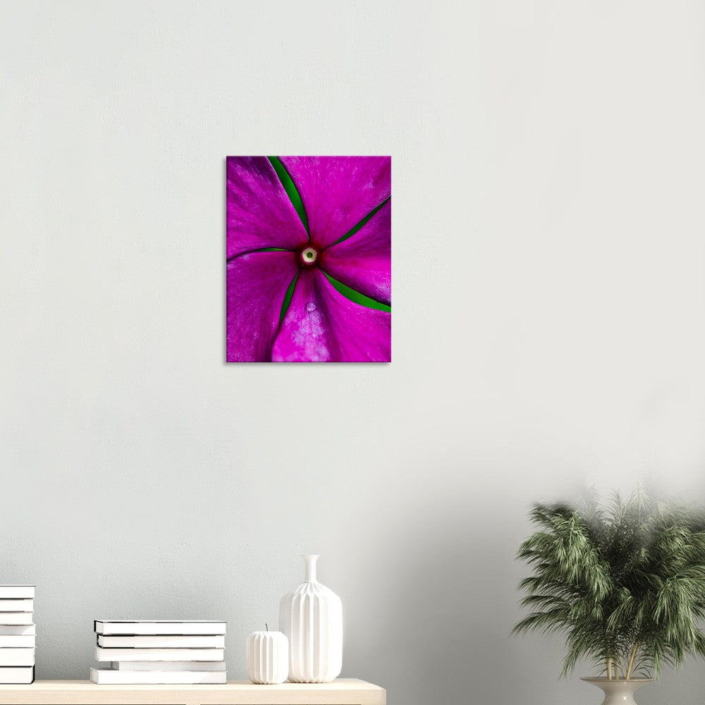 Canvas Wall Art Flower Photographed in Paradise