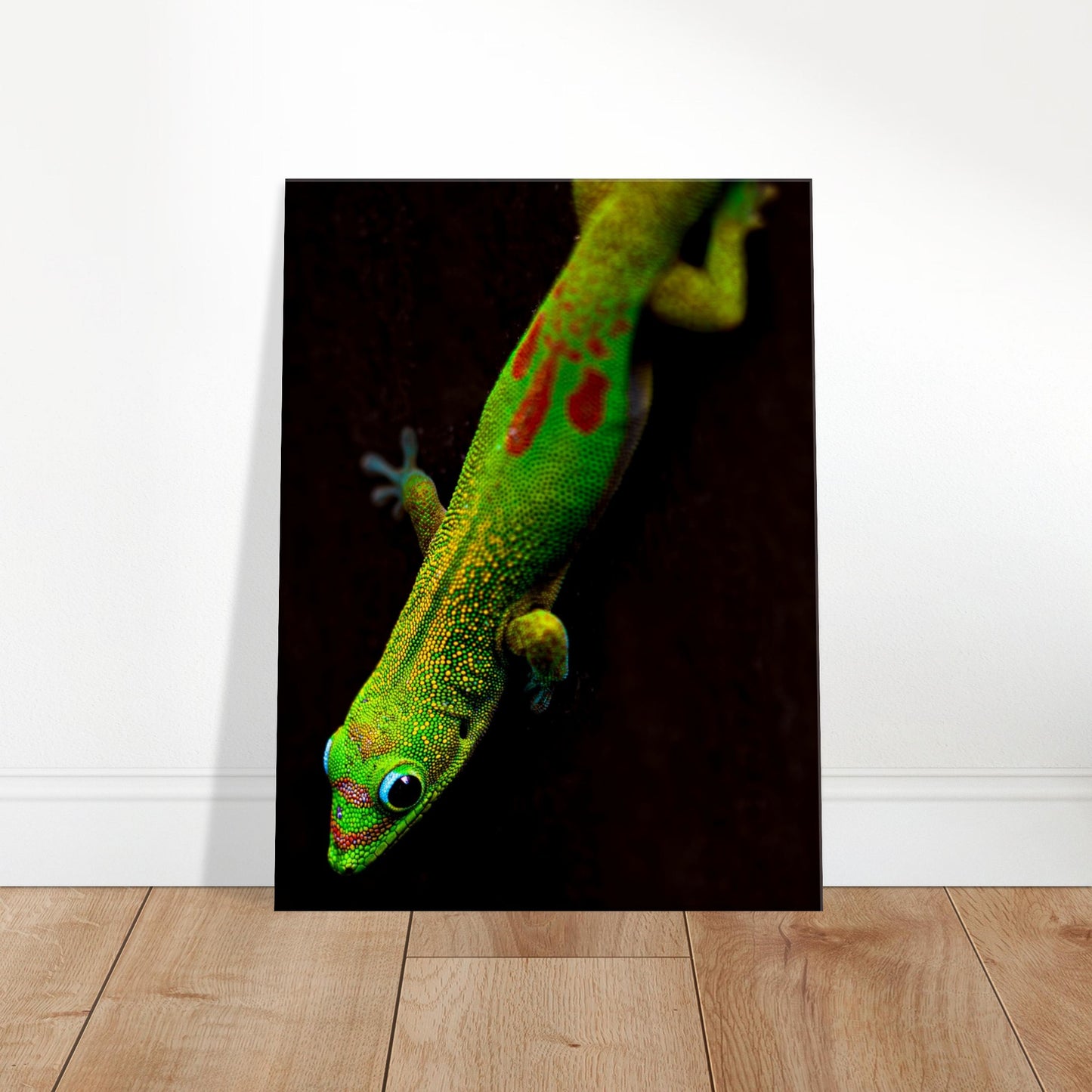 Canvas Wall Art Hawaiian Gecko Lizard Photographed in Paradise