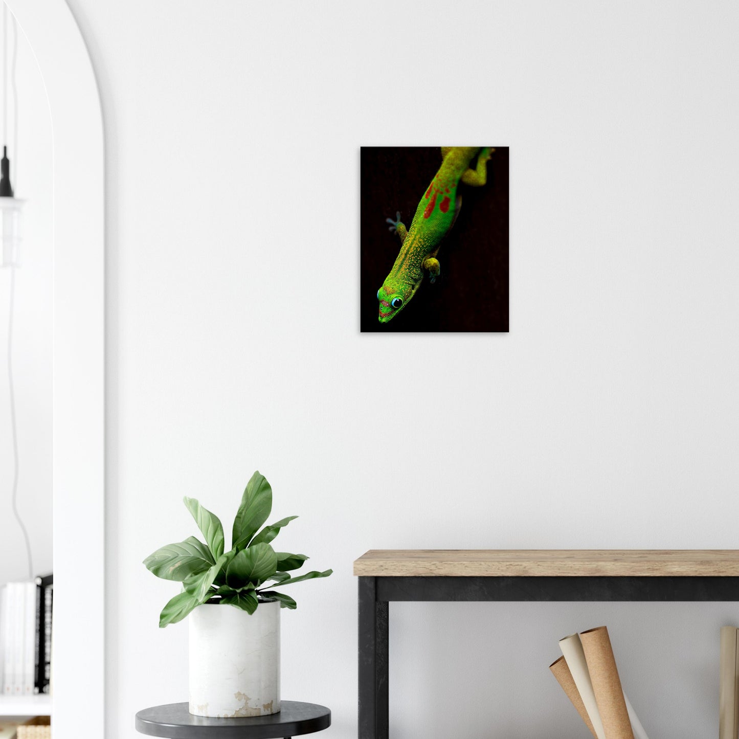 Canvas Wall Art Hawaiian Gecko Lizard Photographed in Paradise