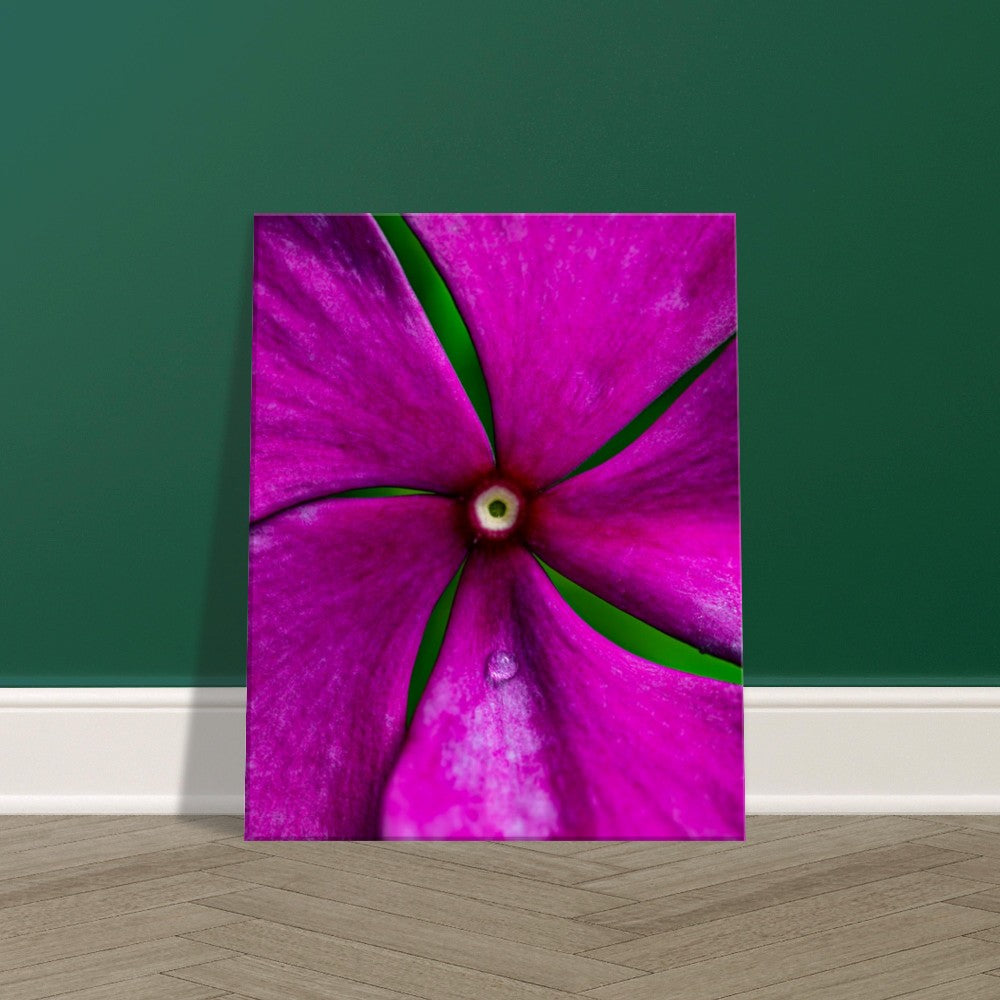 Canvas Wall Art Flower Photographed in Paradise