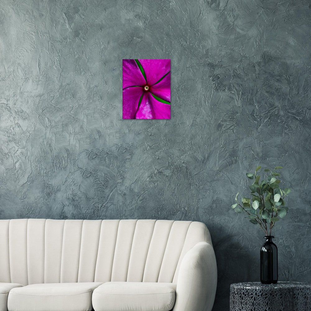 Canvas Wall Art Flower Photographed in Paradise