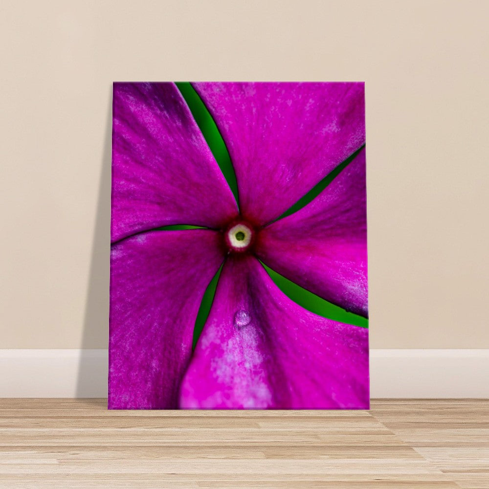 Canvas Wall Art Flower Photographed in Paradise