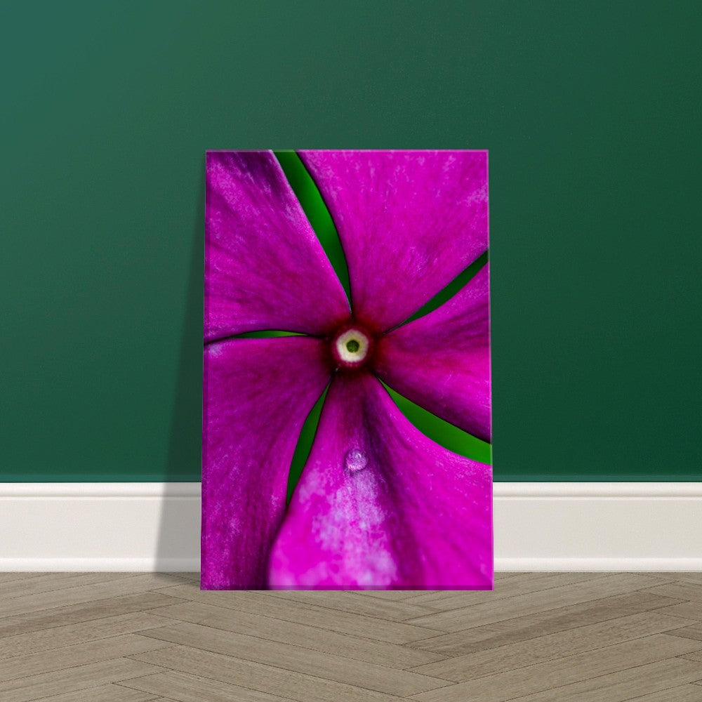 Canvas Wall Art Flower Photographed in Paradise