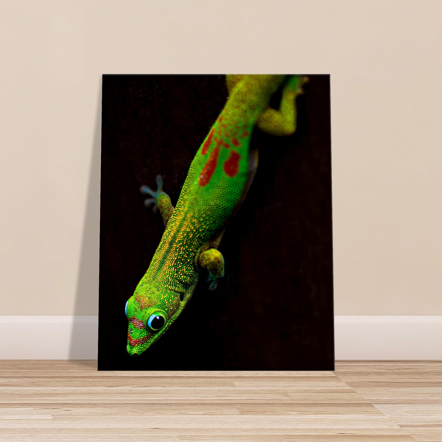 Canvas Wall Art Hawaiian Gecko Lizard Photographed in Paradise