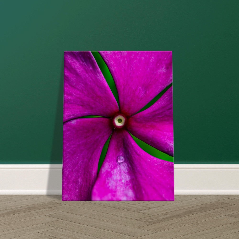 Canvas Wall Art Flower Photographed in Paradise