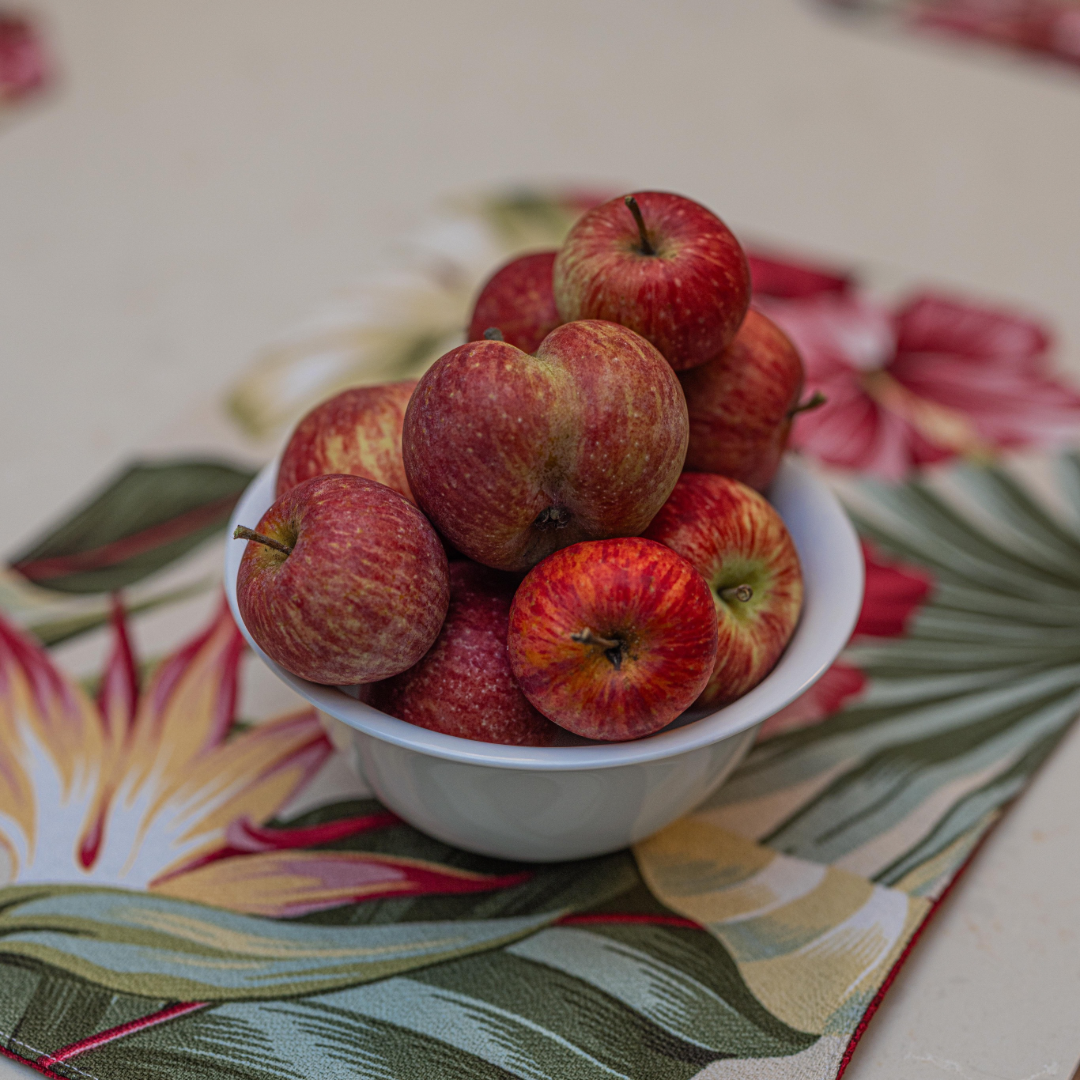 Hibiscus & Bird of Paradise Reversible Barkcloth Placemats