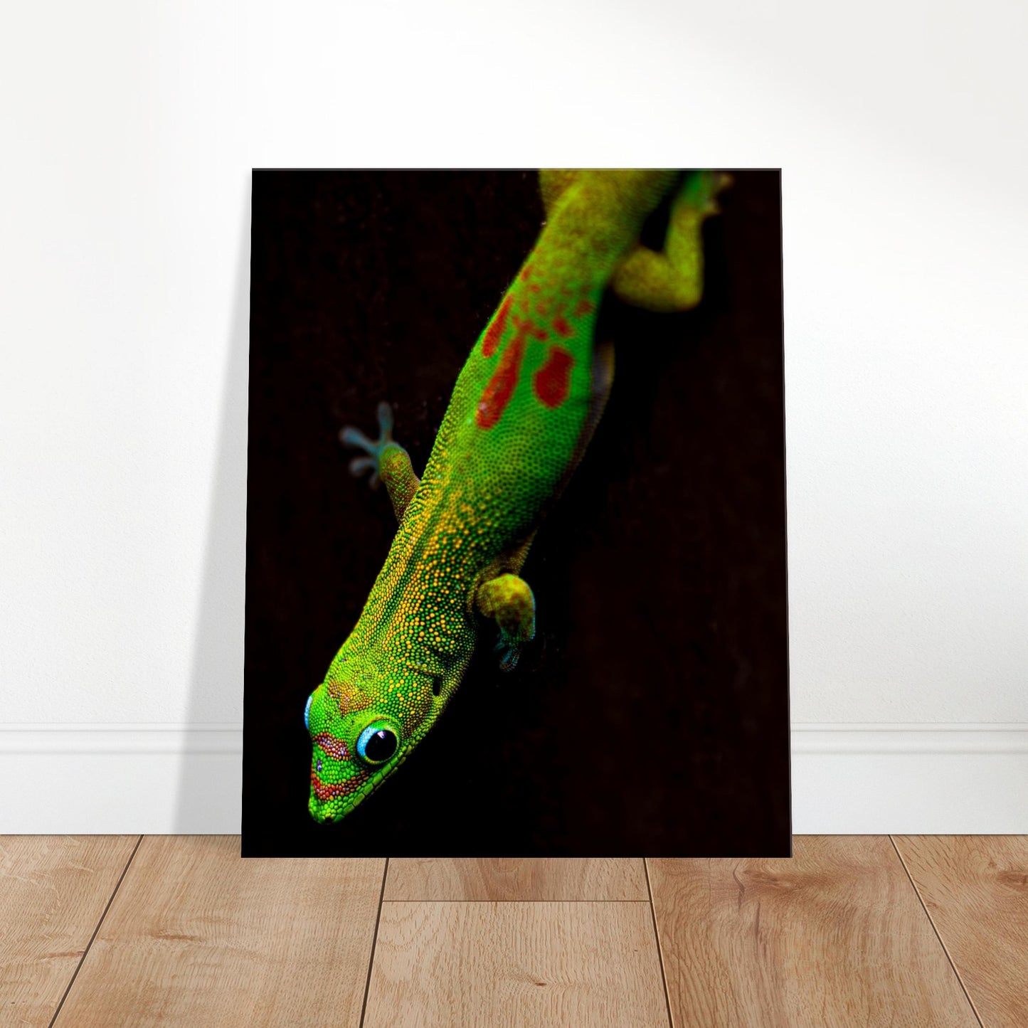 Canvas Wall Art Hawaiian Gecko Lizard Photographed in Paradise