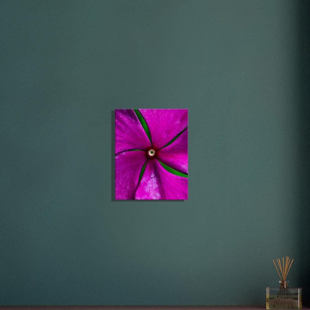 Canvas Wall Art Flower Photographed in Paradise