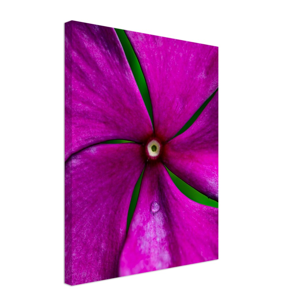 Canvas Wall Art Flower Photographed in Paradise