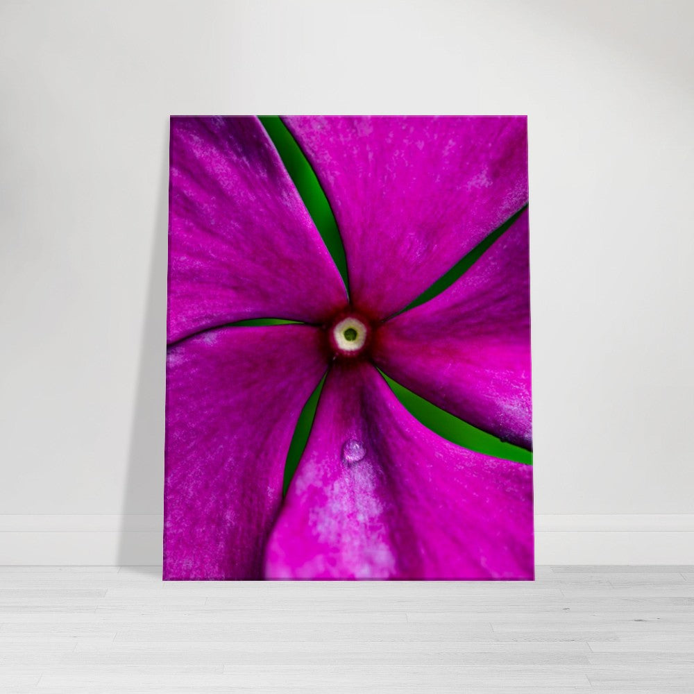 Canvas Wall Art Flower Photographed in Paradise